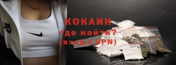 не бодяженный Ладушкин