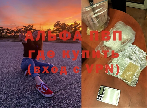 не бодяженный Ладушкин