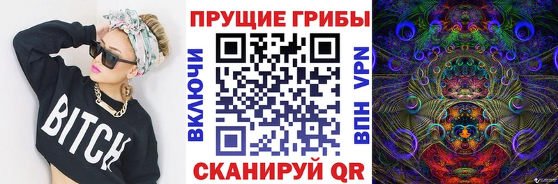 магазин    Холмск  Псилоцибиновые грибы GOLDEN TEACHER 