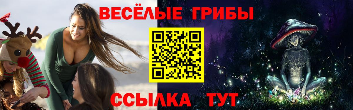 Холмск  Галлюциногенные грибы прущие грибы  Вход с VPN 